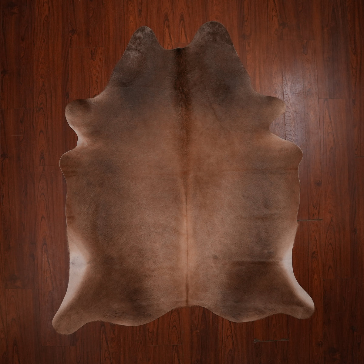 Warm Taupe-Toned Brown cow hide rug, 215 x 176 cm, genuine cowhide