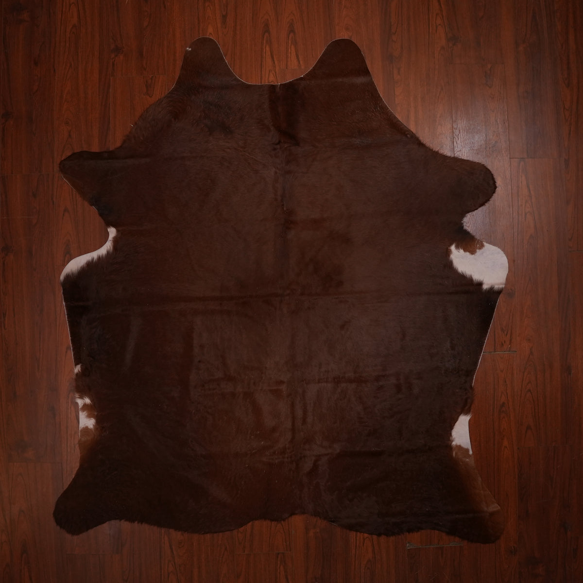 Deep Chocolate Brown cow hide rug, 219 x 190 cm, genuine cowhide