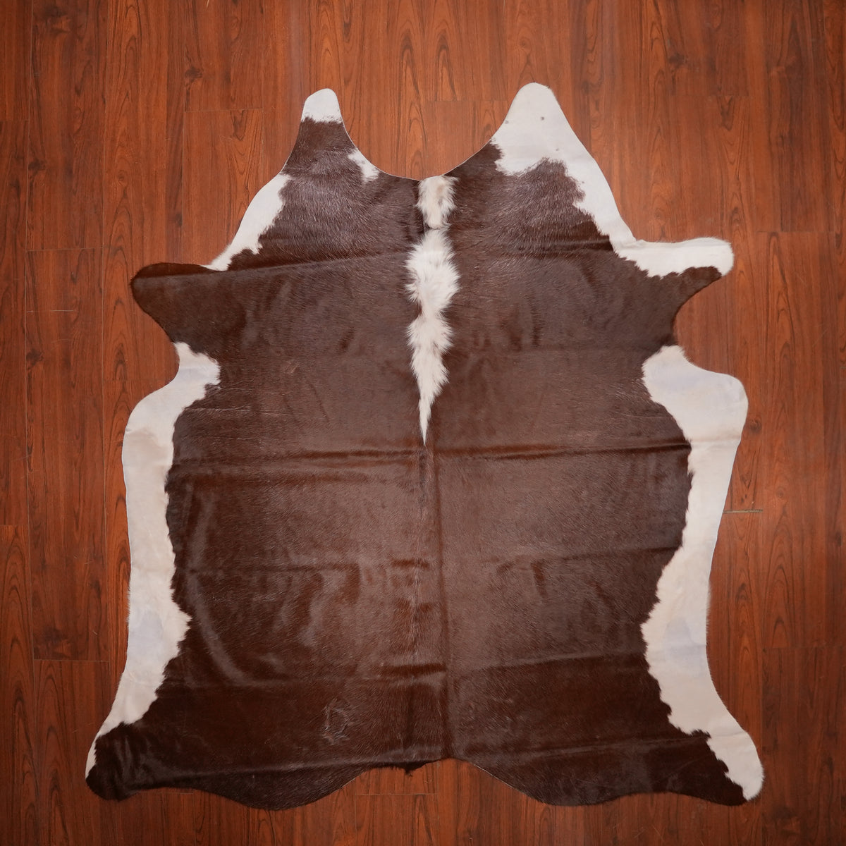 Hereford Contrast Brown cow hide rug, 221 x 200 cm, genuine cowhide