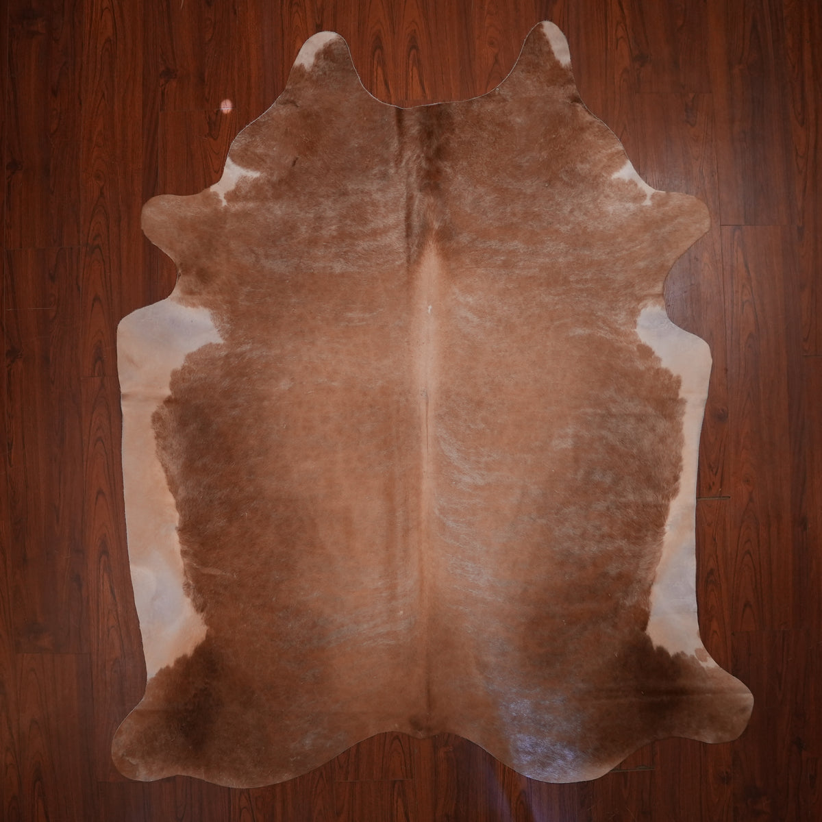 Warm Caramel Brown cow hide rug, 225 x 194 cm, genuine cowhide