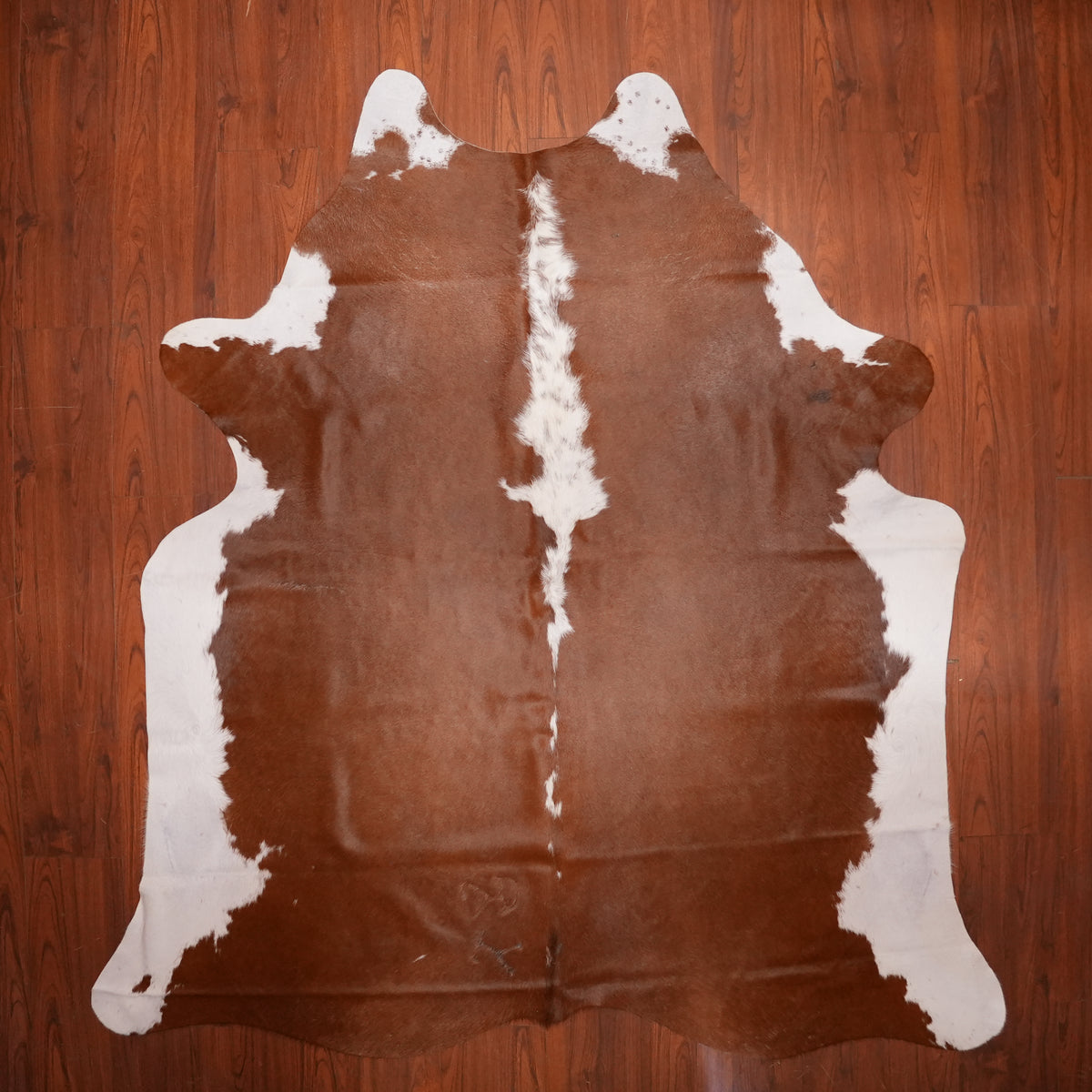 Hereford Style Brown cow hide rug, 227 x 211 cm, genuine cowhide