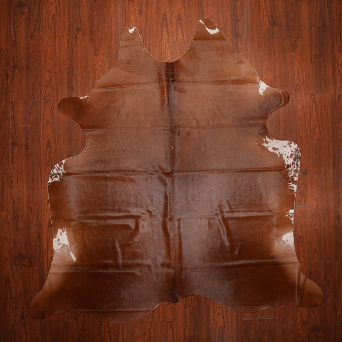 Rich Chestnut Brown cow hide rug, 228 x 219 cm, genuine cowhide