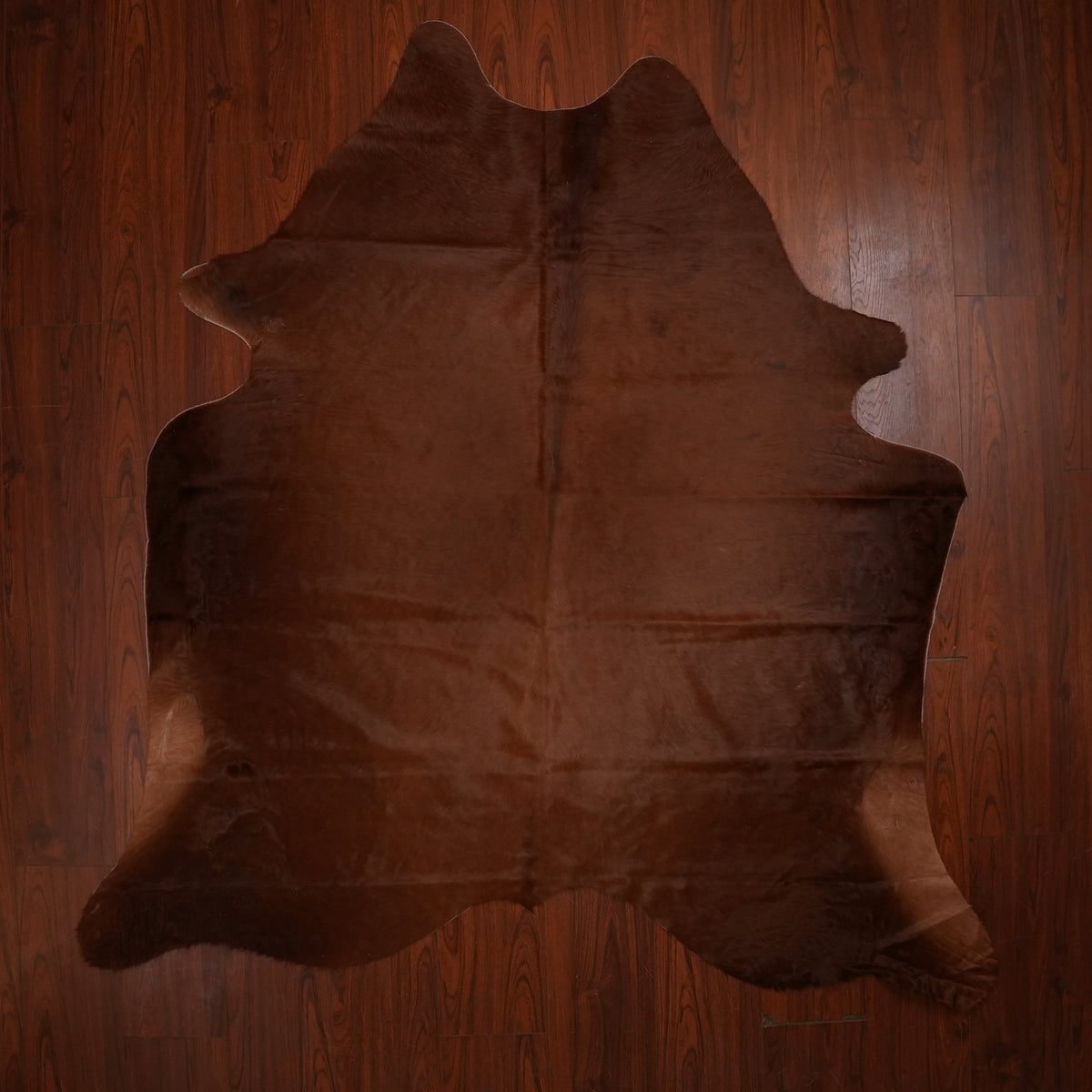 Rich Chocolate Brown cow hide rug, 229 x 206 cm, genuine cowhide