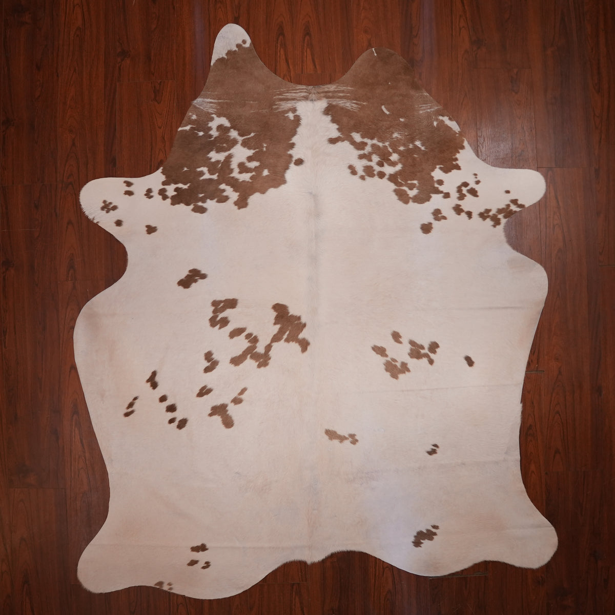 Caramel-Spotted Brown cow hide rug, 230 x 192 cm, genuine cowhide