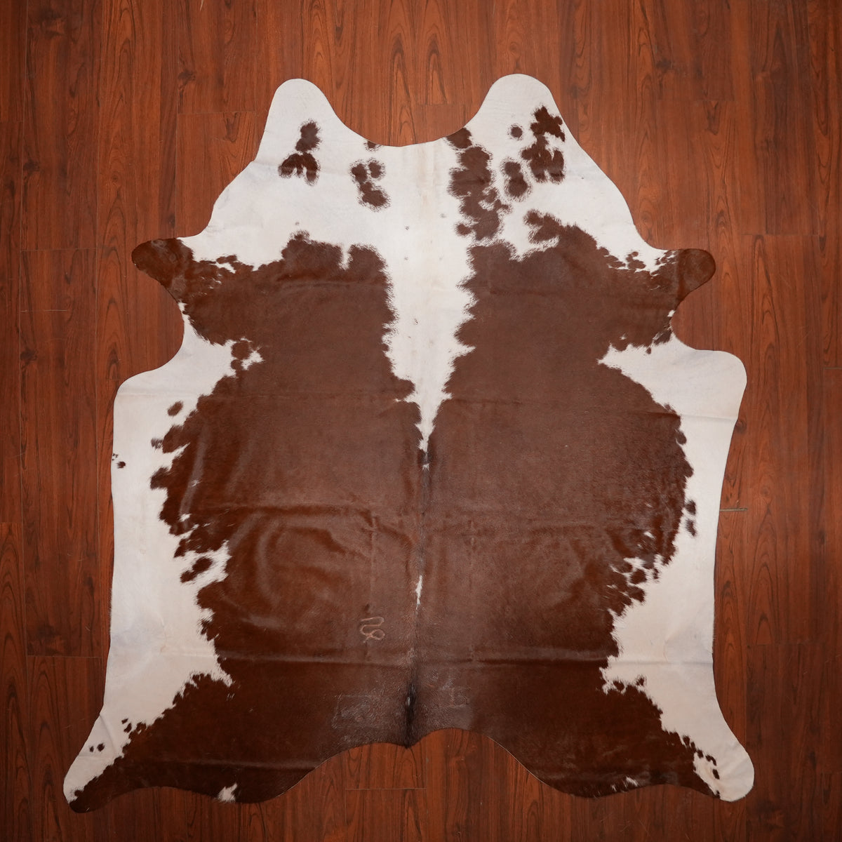 Chestnut Symmetrical Brown cow hide rug, 230 x 209 cm, genuine cowhide