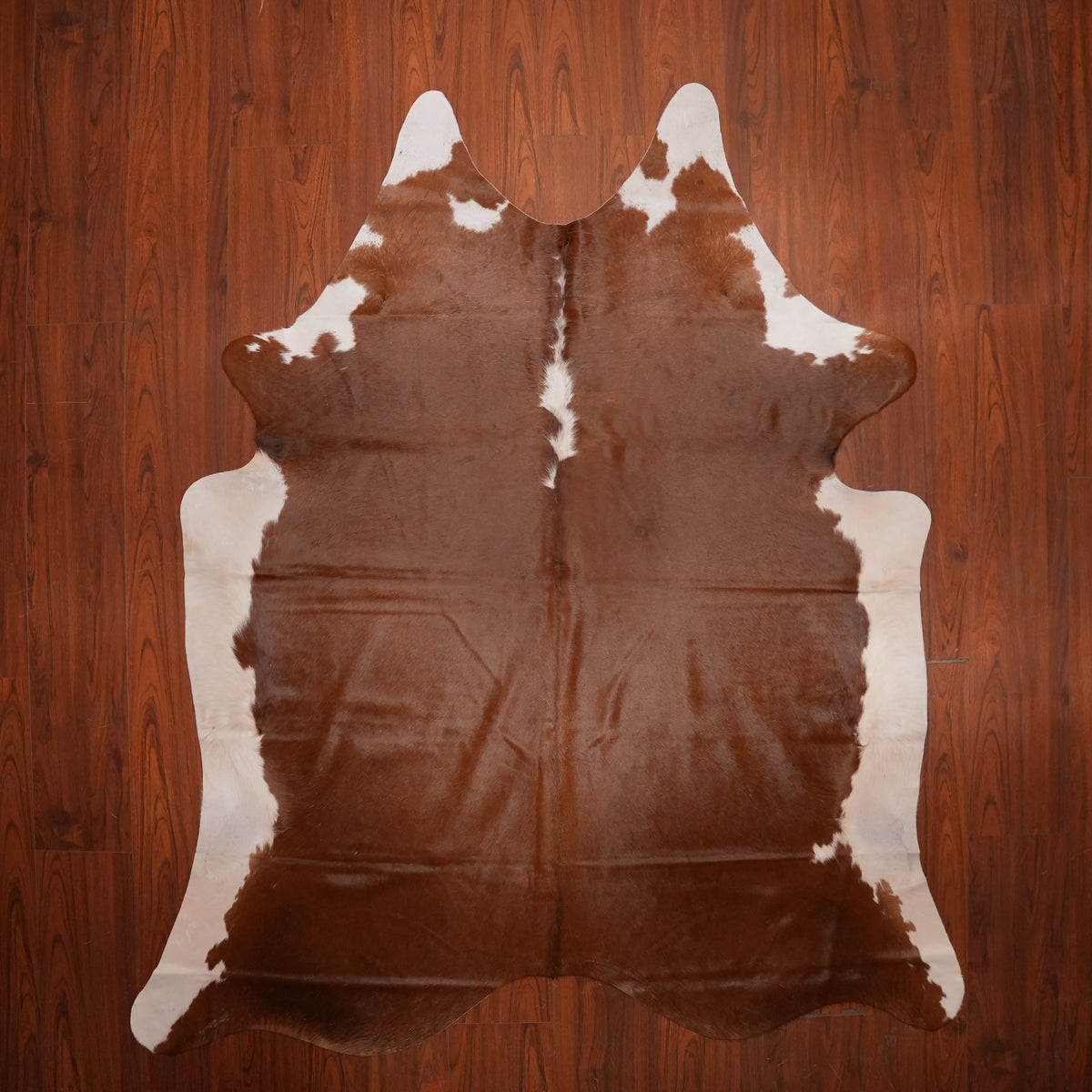 Rich Chestnut Brown cow hide rug, 231 x 191 cm, genuine cowhide