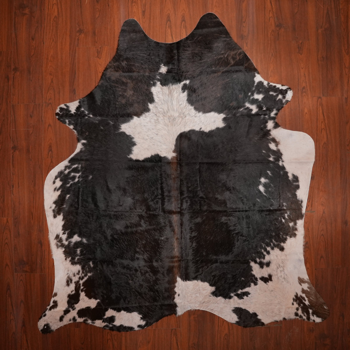 High-Contrast Brown cow hide rug, 234 x 208 cm, genuine cowhide
