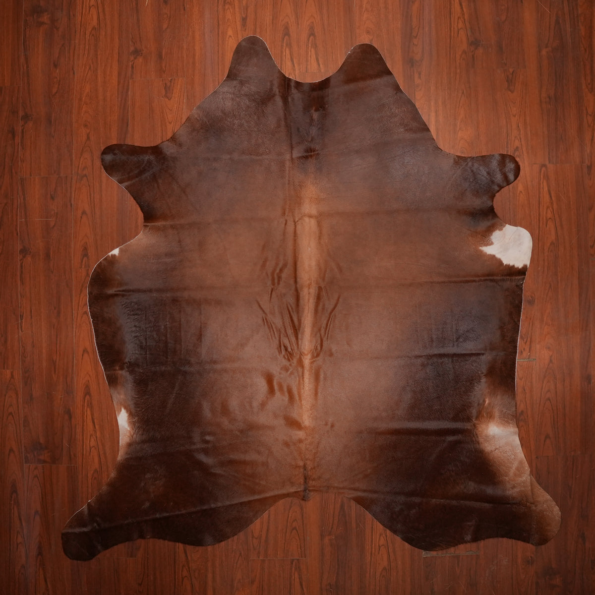 Rich Chocolate Brown cow hide rug, 234 x 211 cm, genuine cowhide