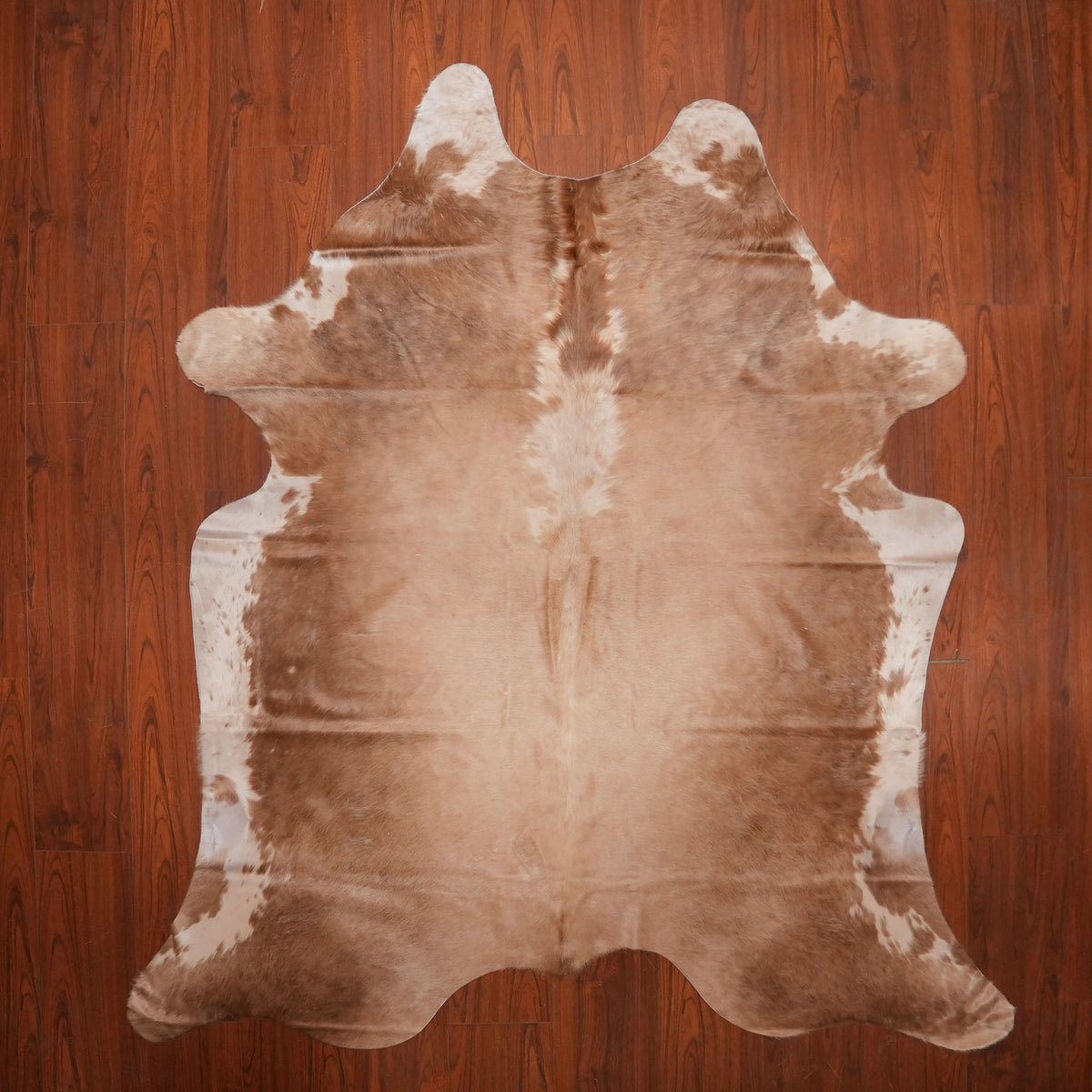 Soft Caramel Brown cow hide rug, 237 x 206 cm, genuine cowhide