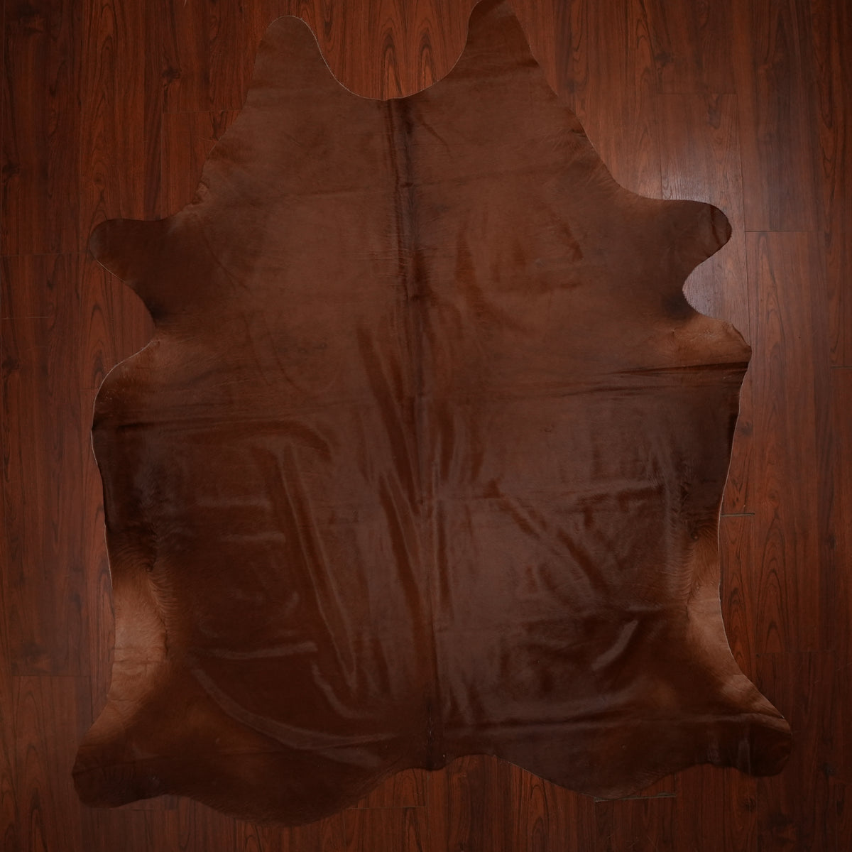 Rich Chestnut Brown cow hide rug, 237 x 208 cm, genuine cowhide