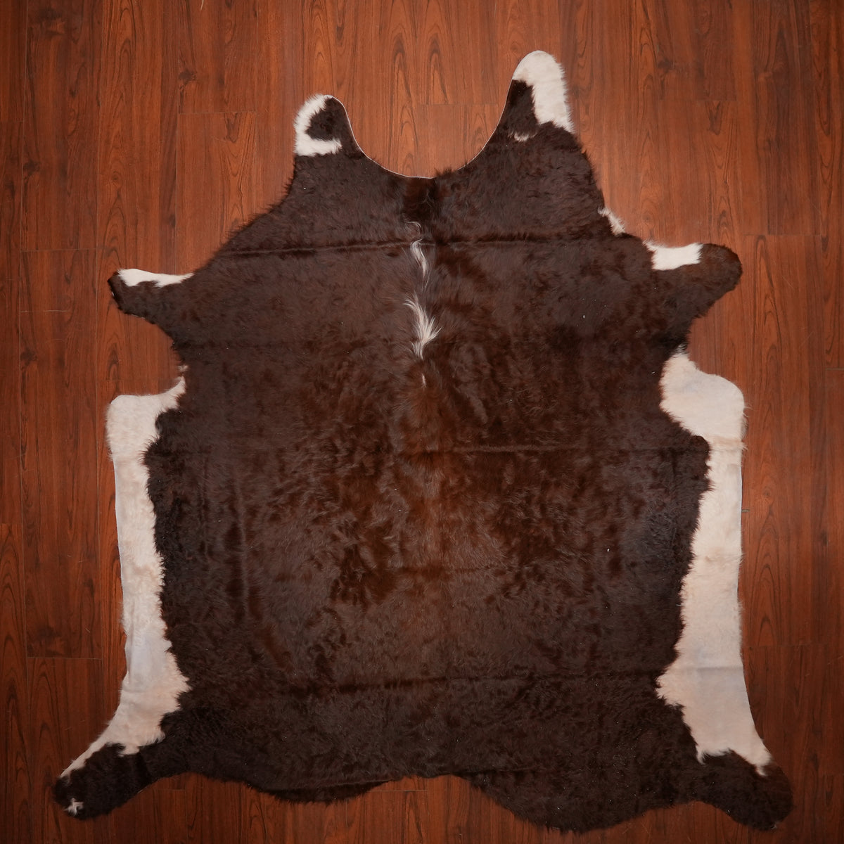 Dark Chocolate Brown cow hide rug, 242 x 215 cm, genuine cowhide