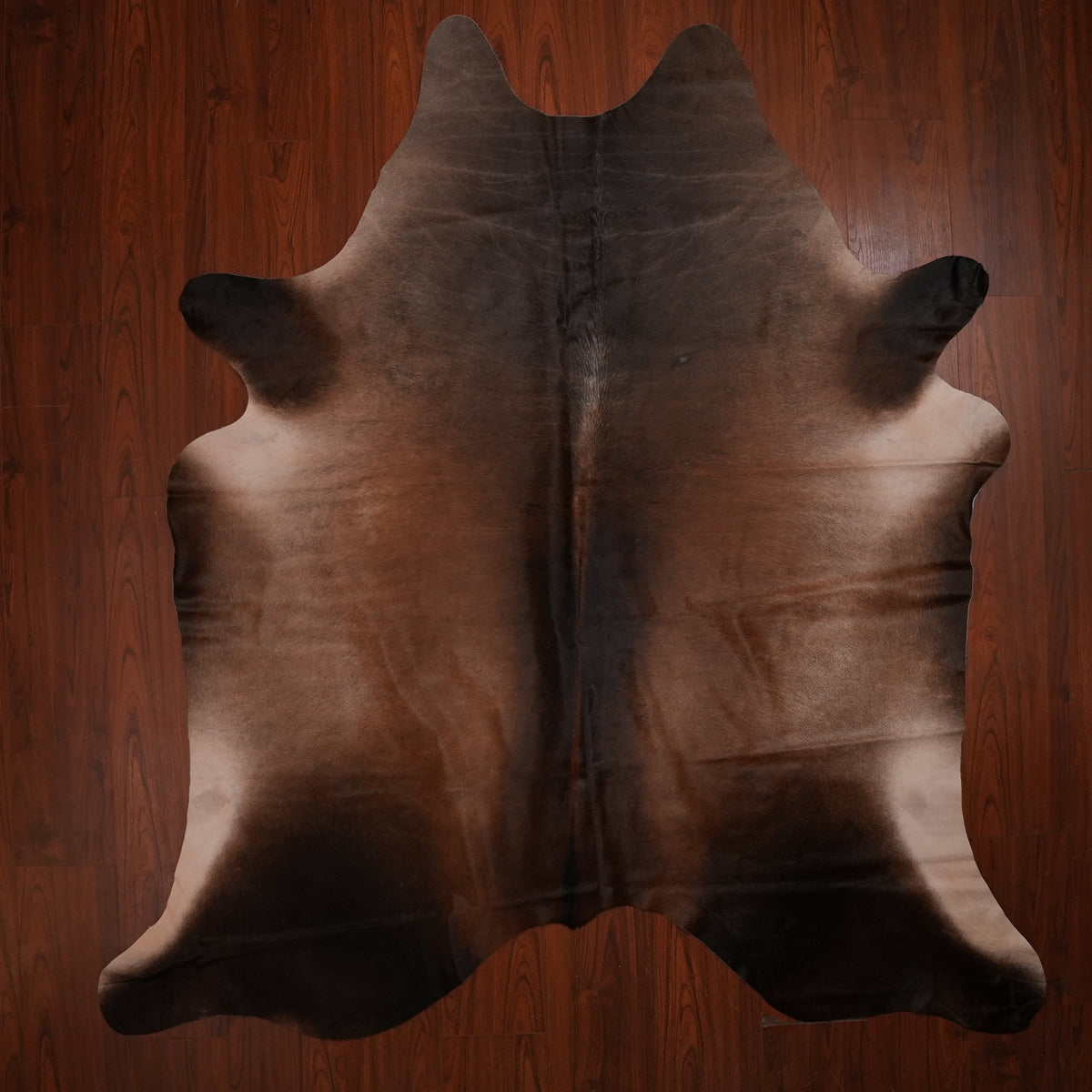 Deep Chocolate Brown cow hide rug, 244 x 212 cm, genuine cowhide