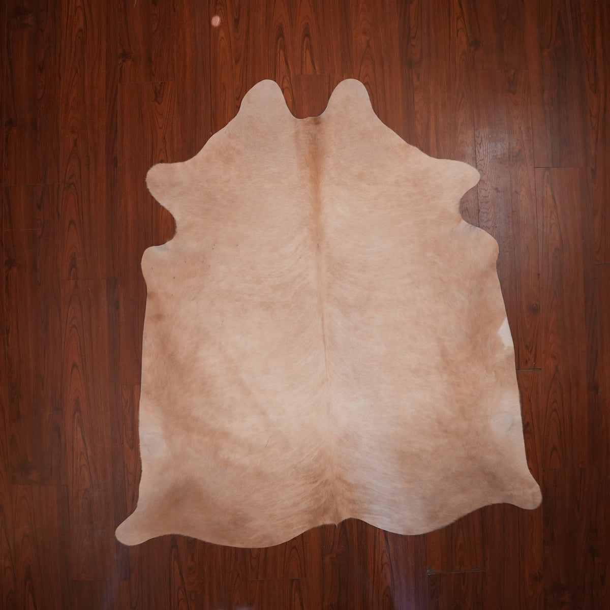 Soft Tonal Caramel cow hide rug, 186 x 172 cm, genuine cowhide