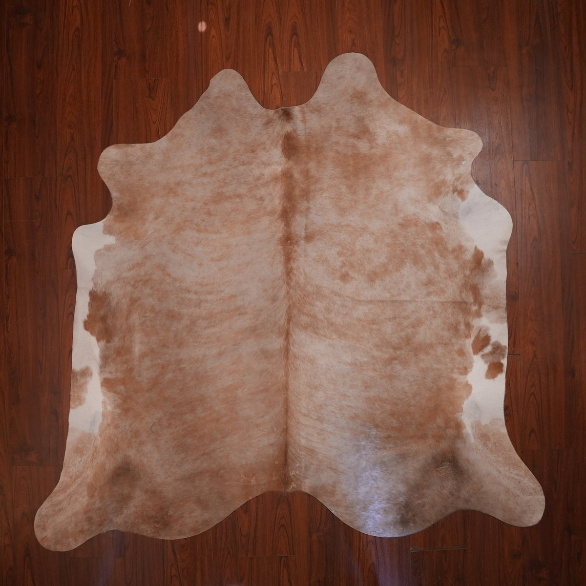 Soft Mottled Caramel cow hide rug, 202 x 218 cm, genuine cowhide