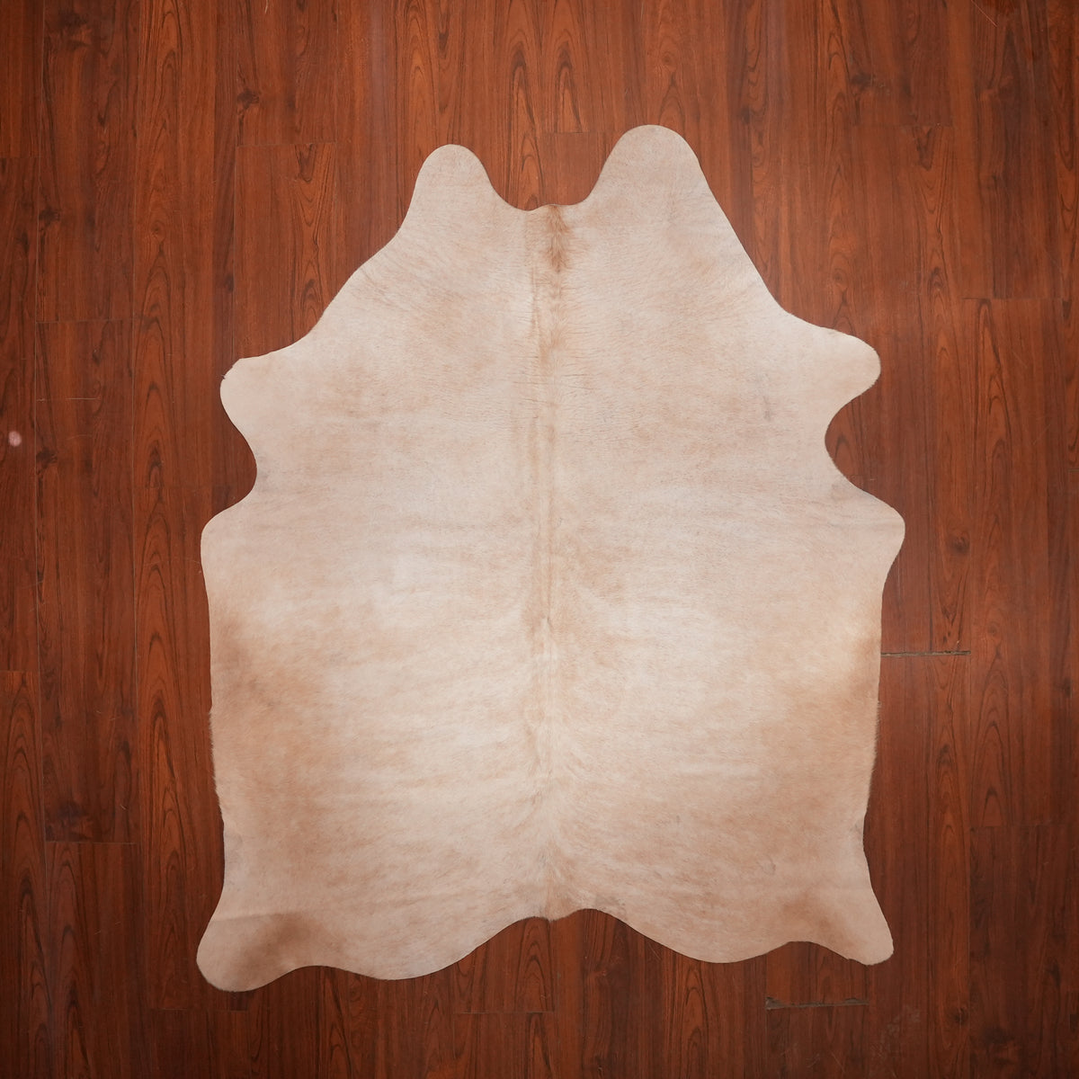 Soft Mottled Caramel cow hide rug, 203 x 162 cm, genuine cowhide