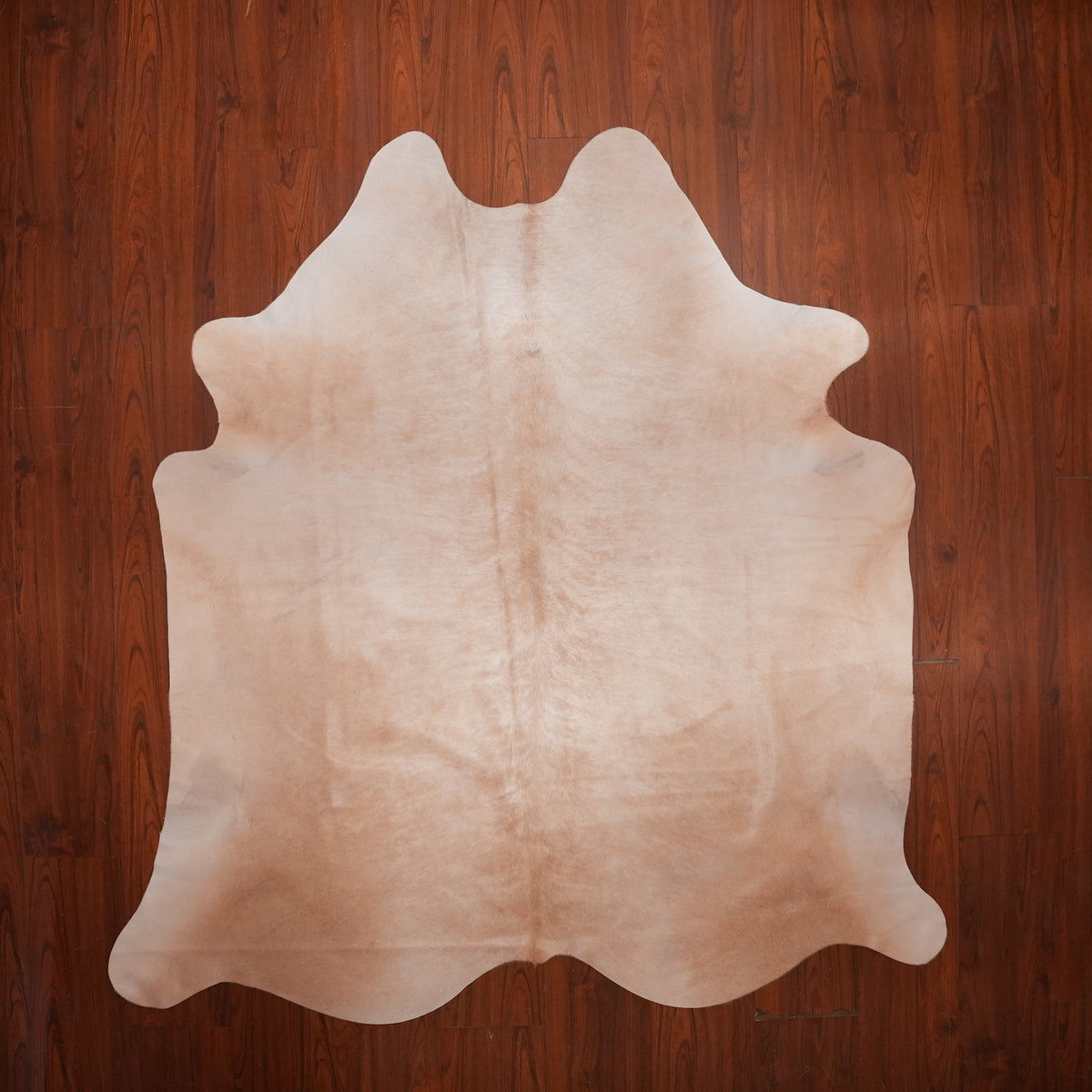 Soft Blushed Caramel cow hide rug, 203 x 194 cm, genuine cowhide