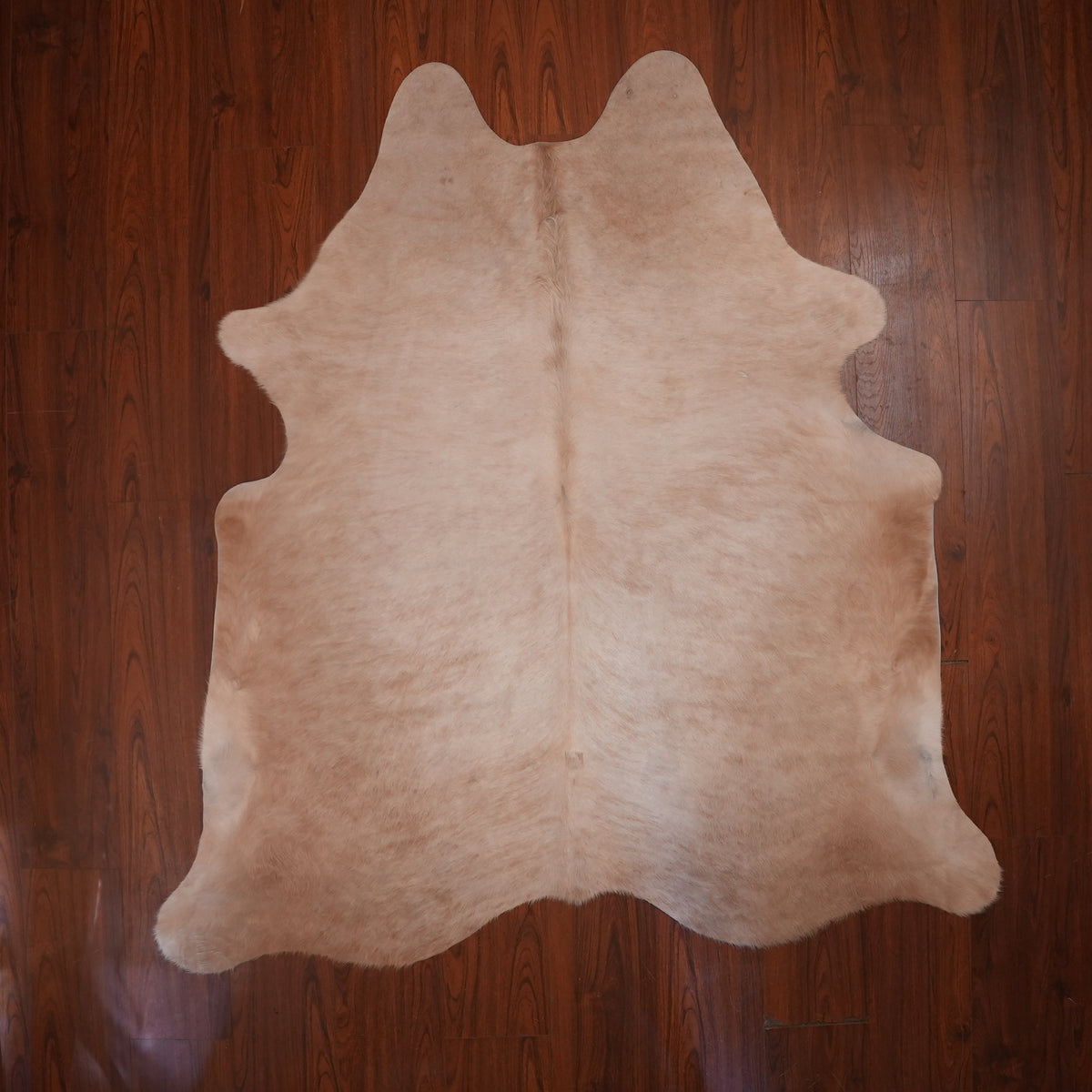 Soft Tonal Caramel cow hide rug, 205 x 191 cm, genuine cowhide