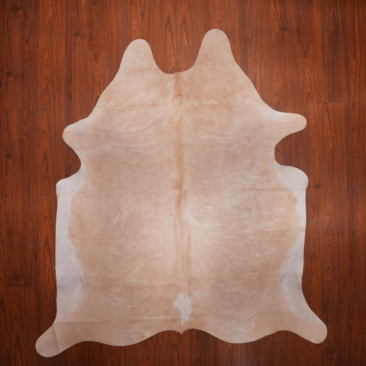 Soft Blushed Caramel cow hide rug, 209 x 203 cm, genuine cowhide