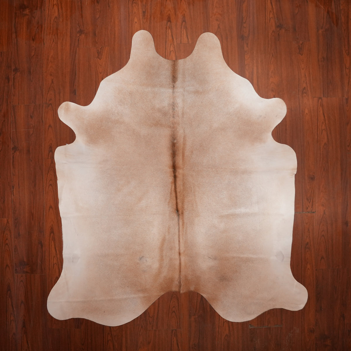 Soft Solid Caramel cow hide rug, 215 x 187 cm, genuine cowhide