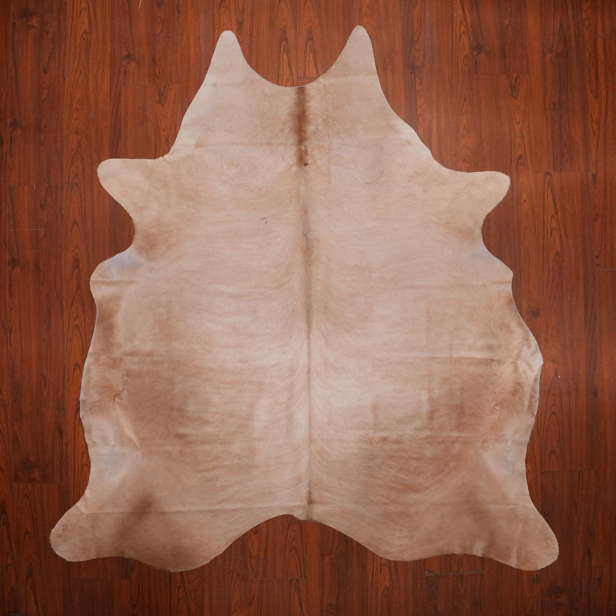 Soft Solid Caramel cow hide rug, 220 x 208 cm, genuine cowhide