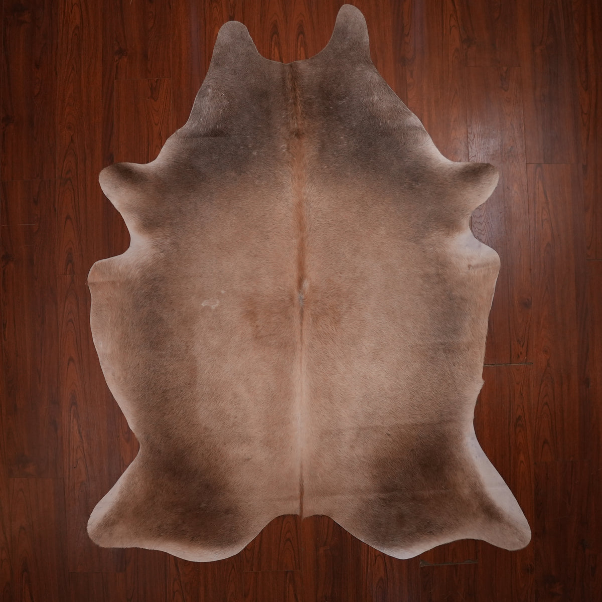 Tonal Gradient Caramel cow hide rug, 221 x 181 cm, genuine cowhide