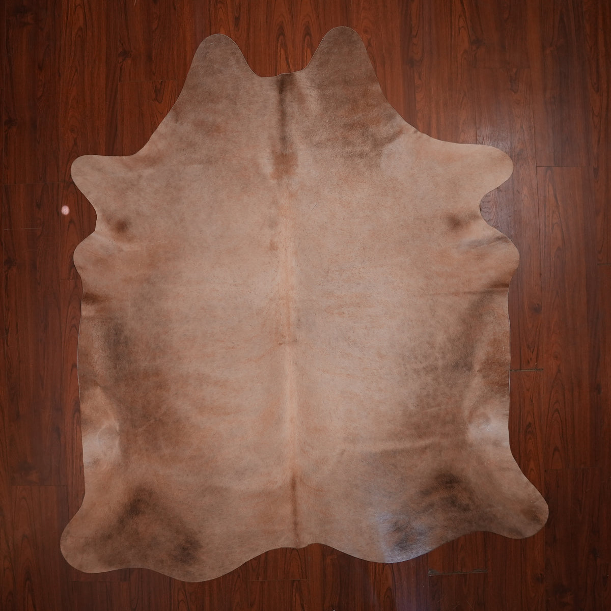 Soft Mottled Caramel cow hide rug, 224 x 197 cm, genuine cowhide