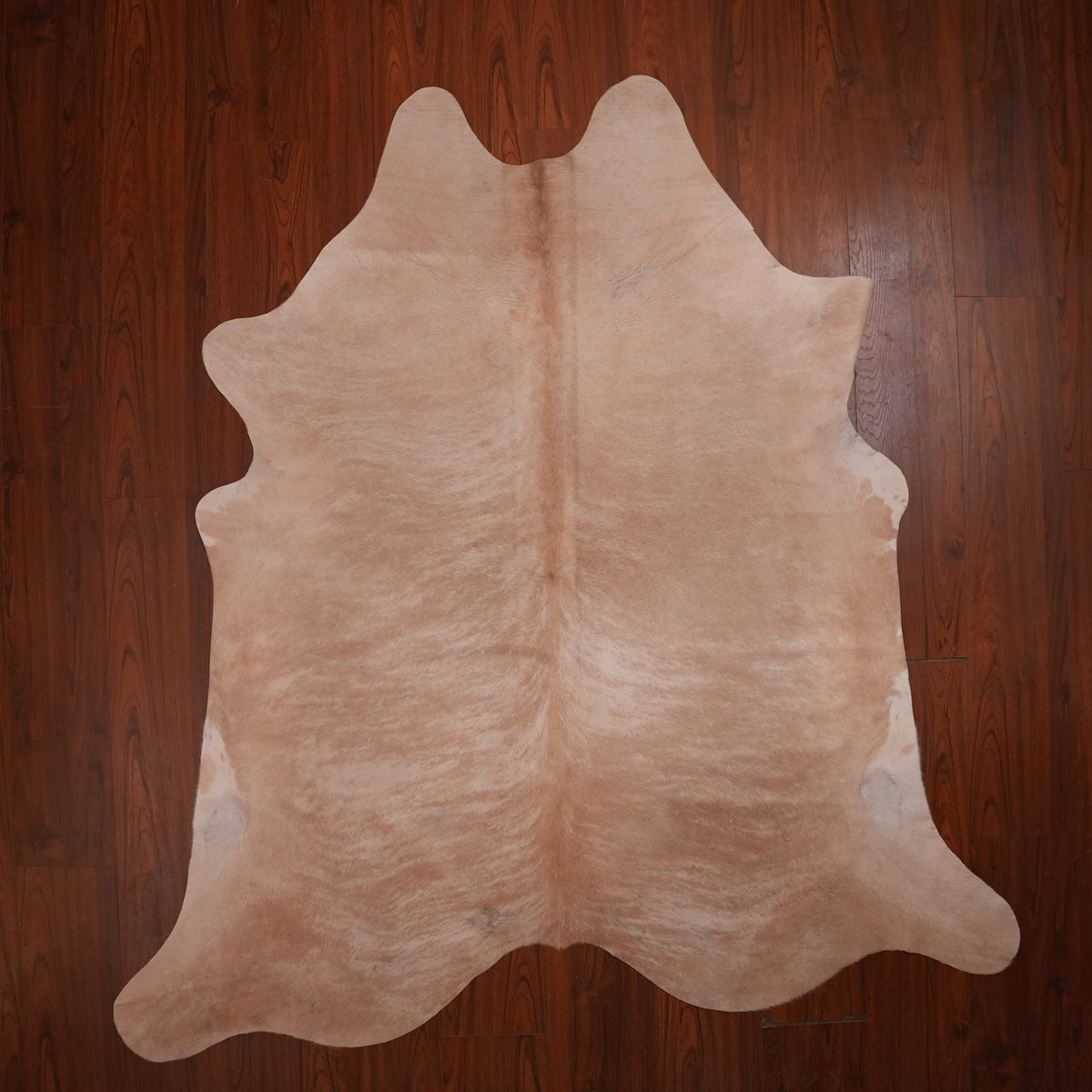 Soft Brindle Caramel cow hide rug, 229 x 205 cm, genuine cowhide