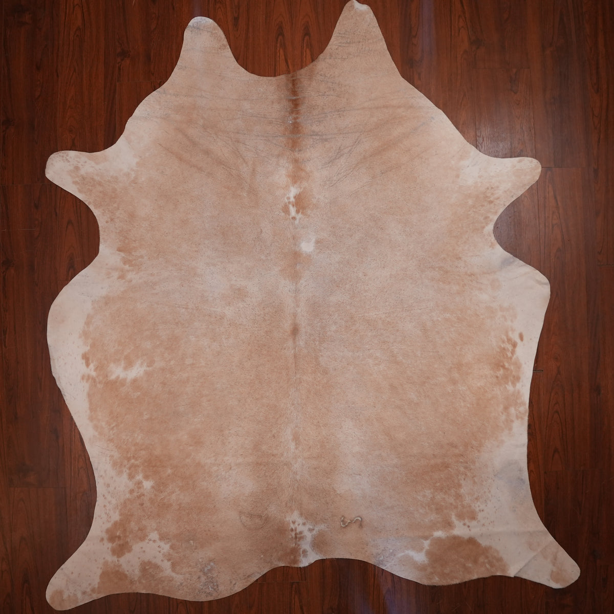 Soft Mottled Caramel cow hide rug, 234 x 219 cm, genuine cowhide