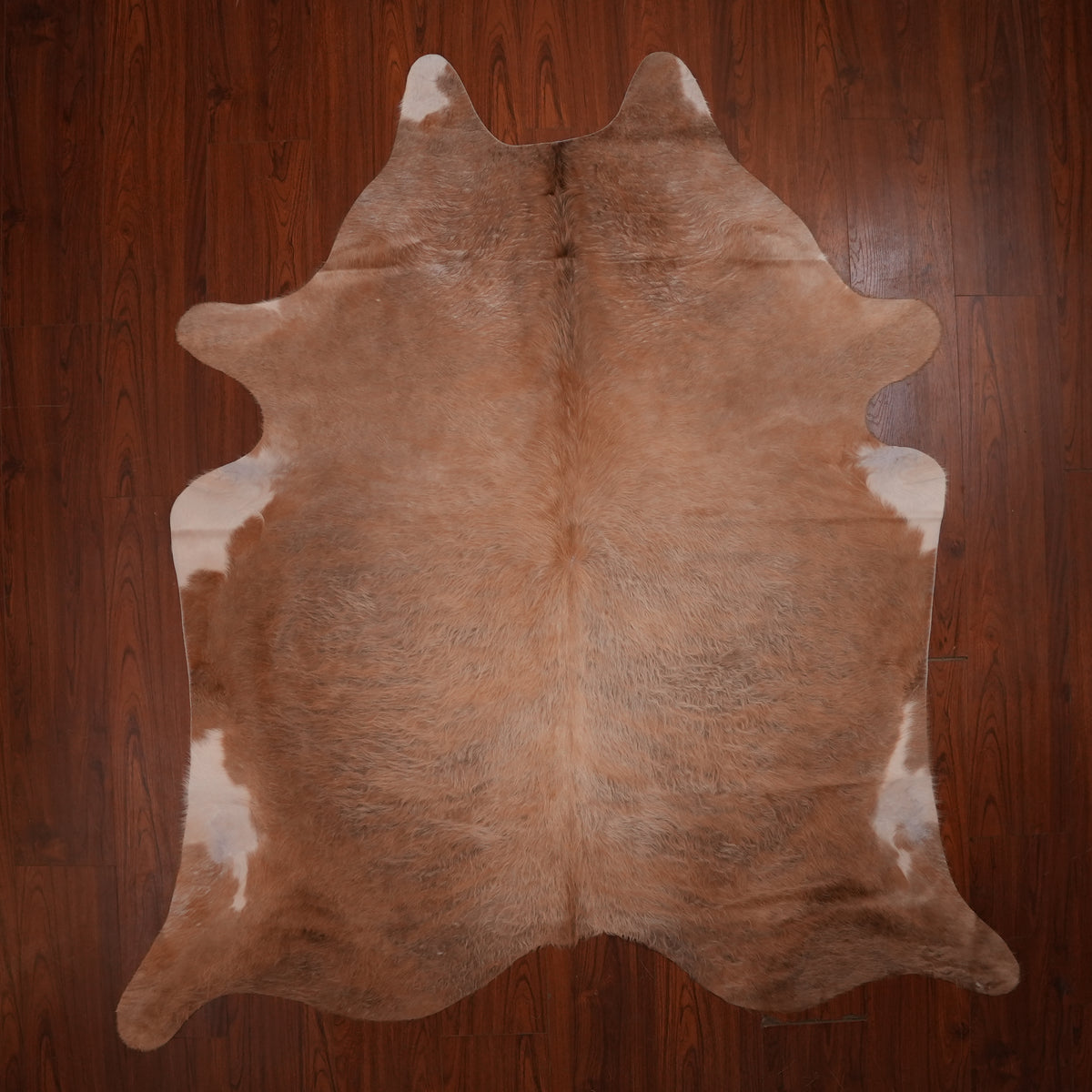 Caramel cow hide rug, 235 x 205 cm, genuine cowhide
