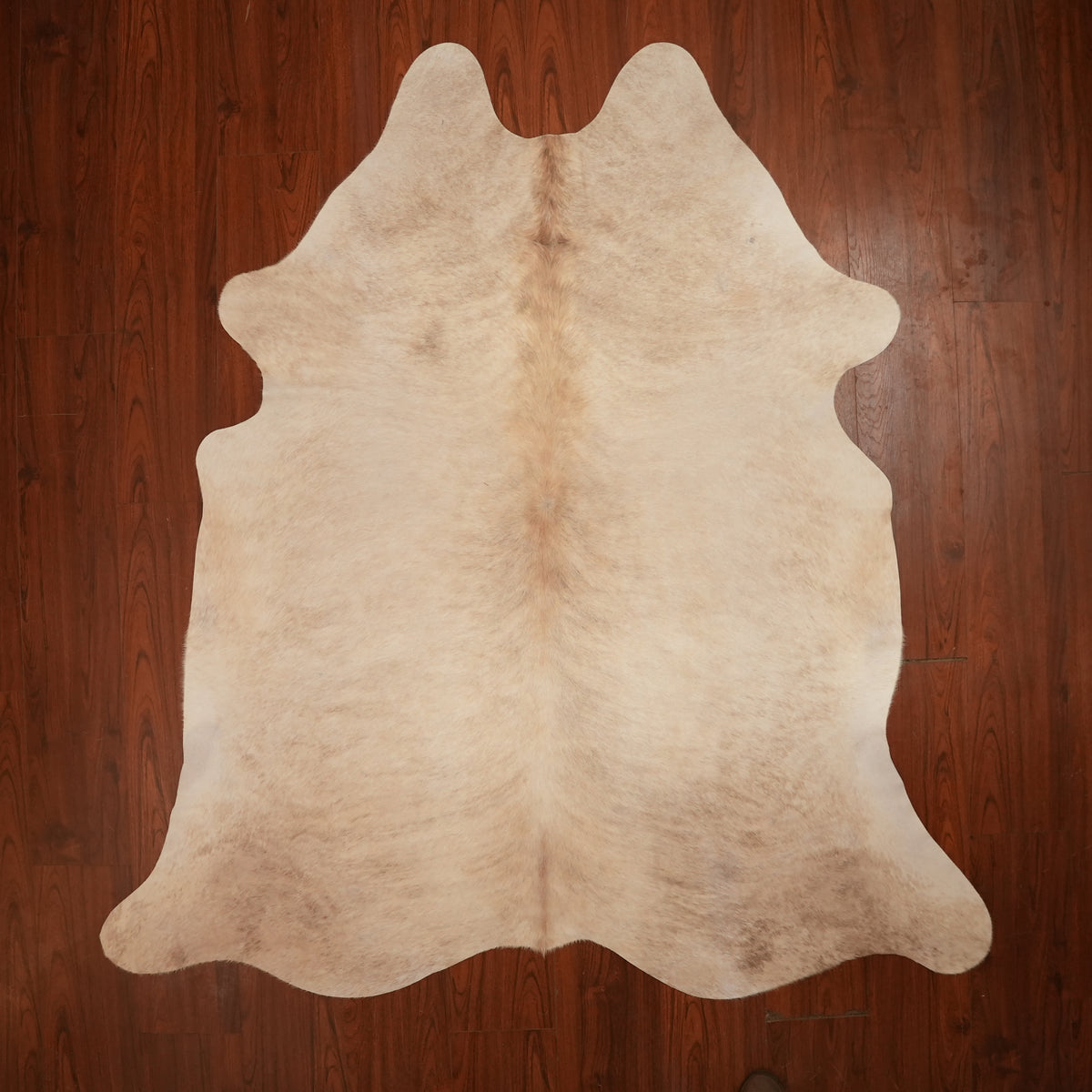Soft Tonal Champagne cow hide rug, 219 x 204 cm, genuine cowhide