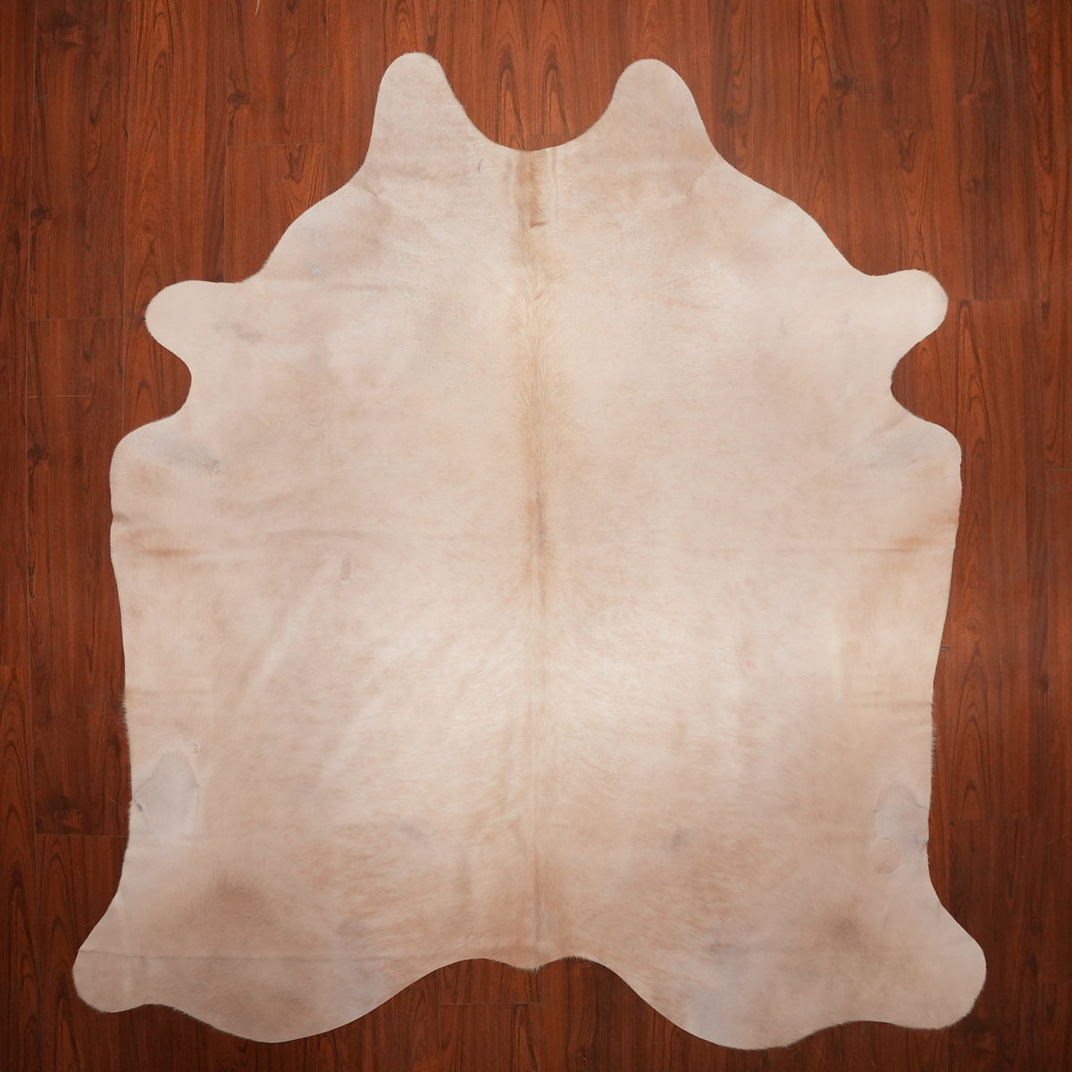 Soft Solid Champagne cow hide rug, 234 x 217 cm, genuine cowhide