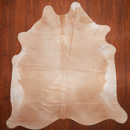 Soft Two-Tone Champagne cow hide rug, 243 x 240 cm, genuine cowhide