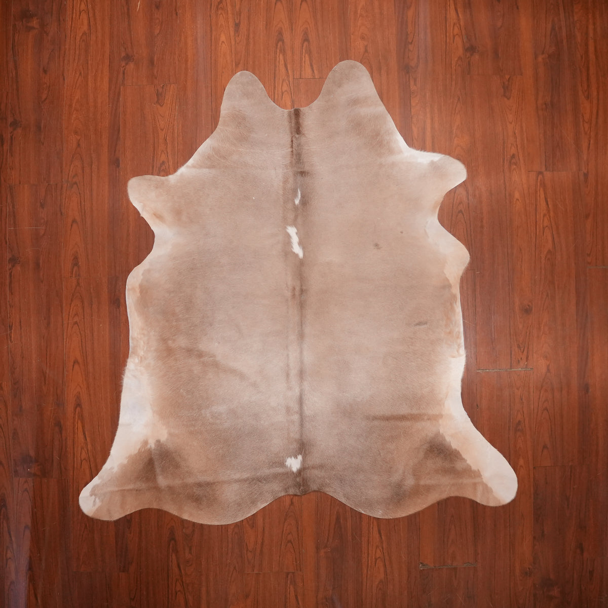 Soft Taupe Dun cow hide rug, 185 x 179 cm, genuine cowhide