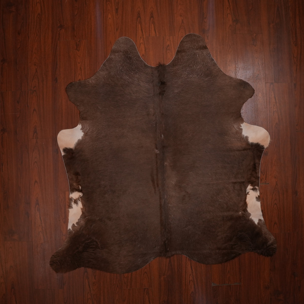 Deep Chocolate Dun cow hide rug, 190 x 183 cm, genuine cowhide