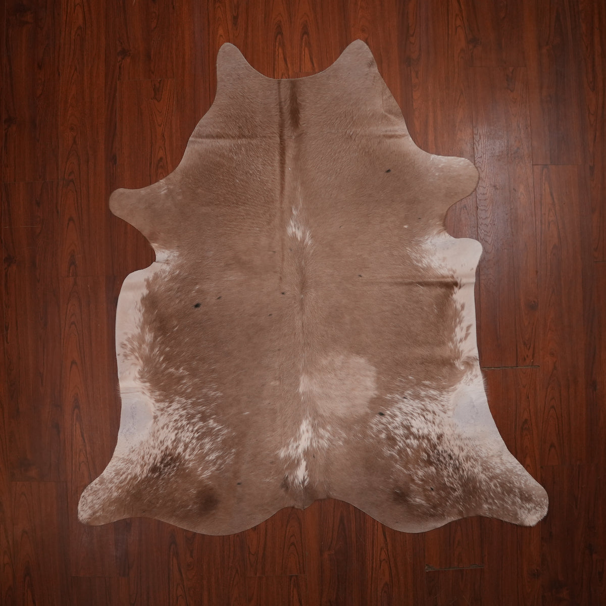Soft Speckled Dun cow hide rug, 197 x 190 cm, genuine cowhide