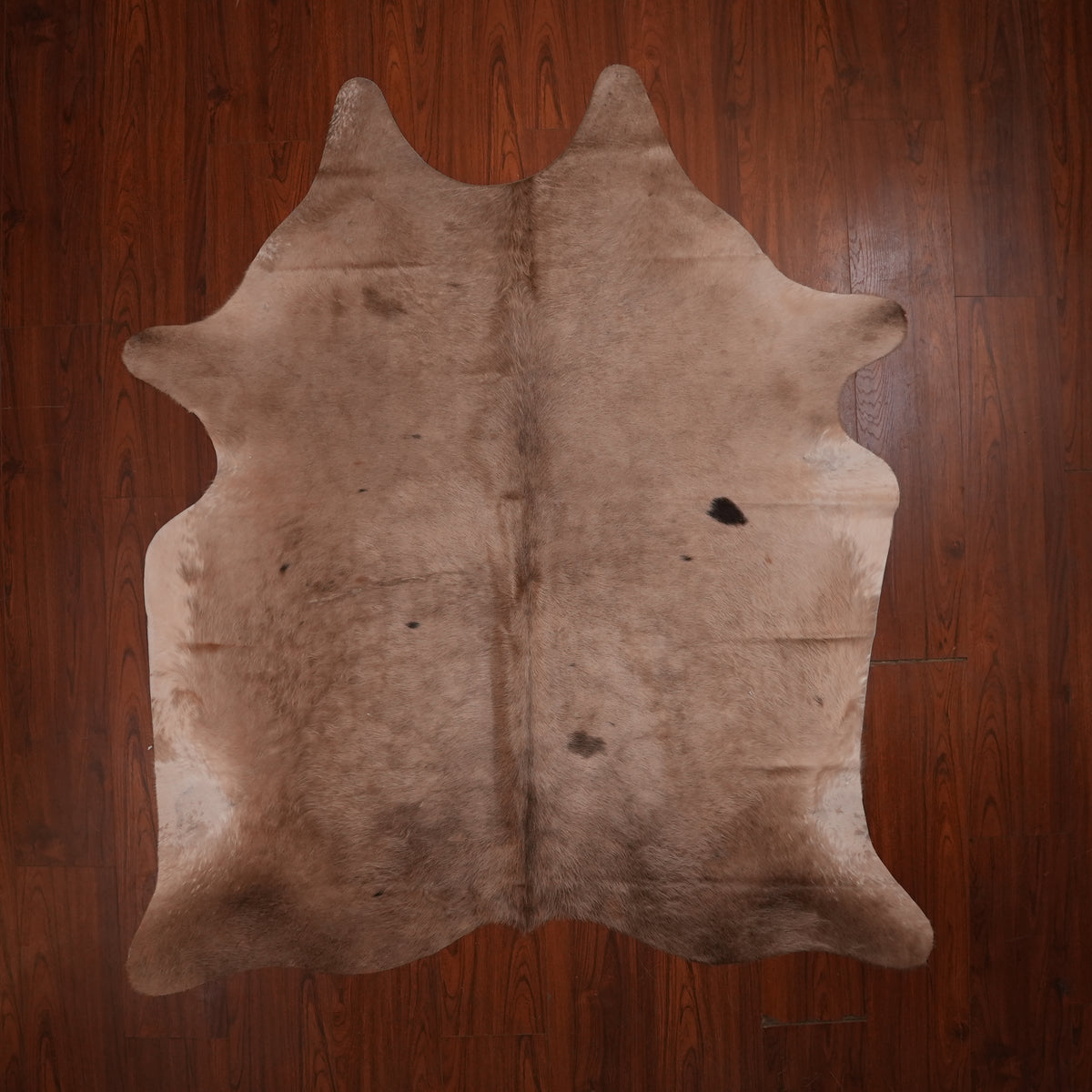 Soft Taupe Dun cow hide rug, 213 x 182 cm, genuine cowhide