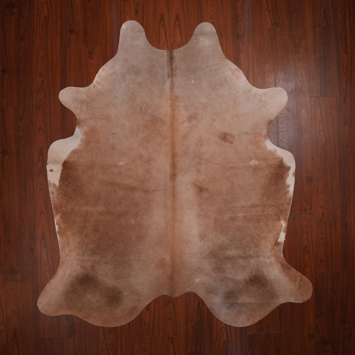 Soft Tonal Dun cow hide rug, 213 x 191 cm, genuine cowhide