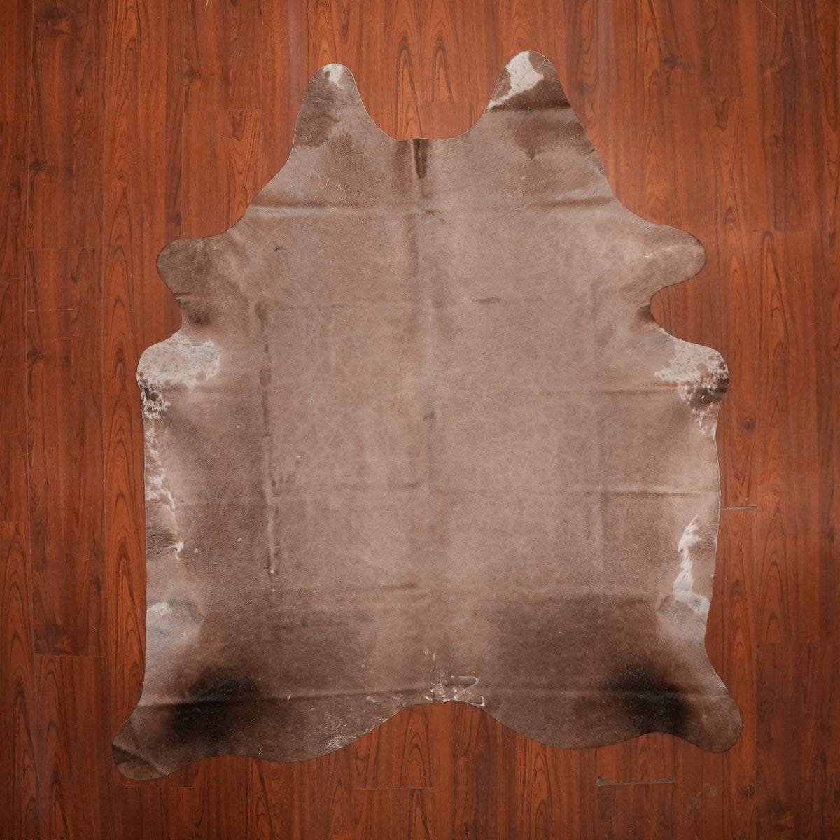 Soft Taupe Dun cow hide rug, 221 x 186 cm, genuine cowhide