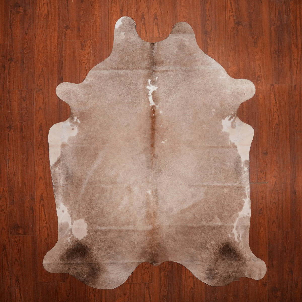 Soft Taupe Dun cow hide rug, 225 x 186 cm, genuine cowhide