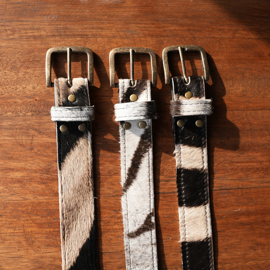 Three zebra hide belts with brass-tone buckles and rivets, laid flat on a warm brown wooden surface.