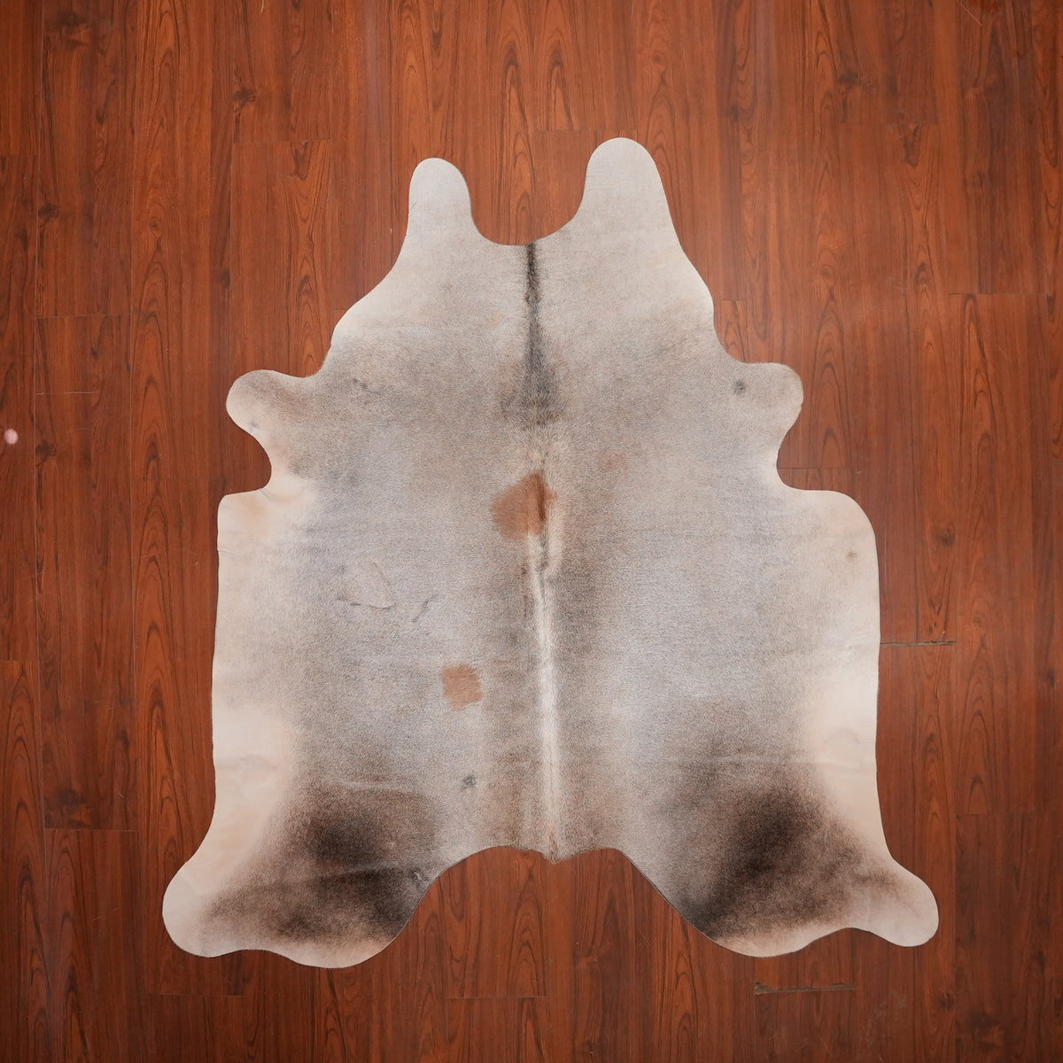 Soft Dove Grey cow hide rug, 196 x 184 cm, genuine cowhide