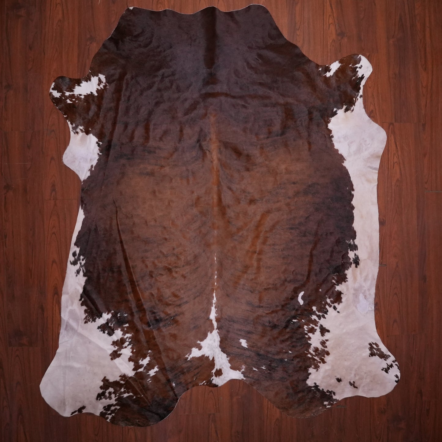 A Grade Nguni Hide 647 (Tricolor) (L)