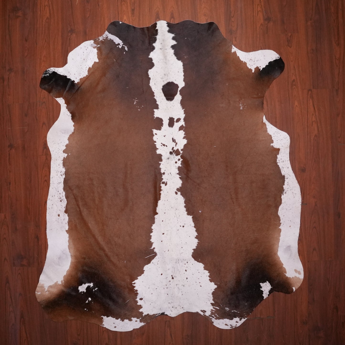 AS Grade Nguni Hide 603 (Tricolor) (L)