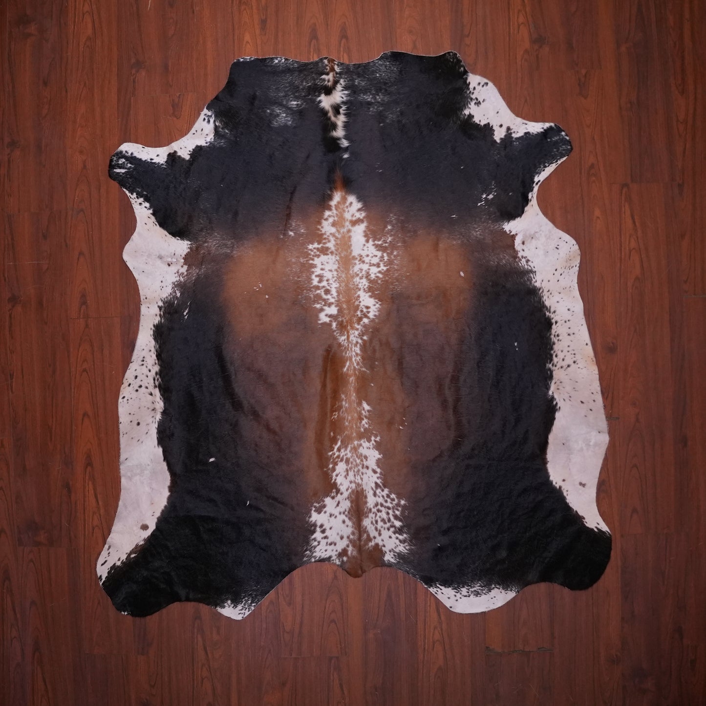 AS Grade Nguni Hide 620 (Tricolor) (S)