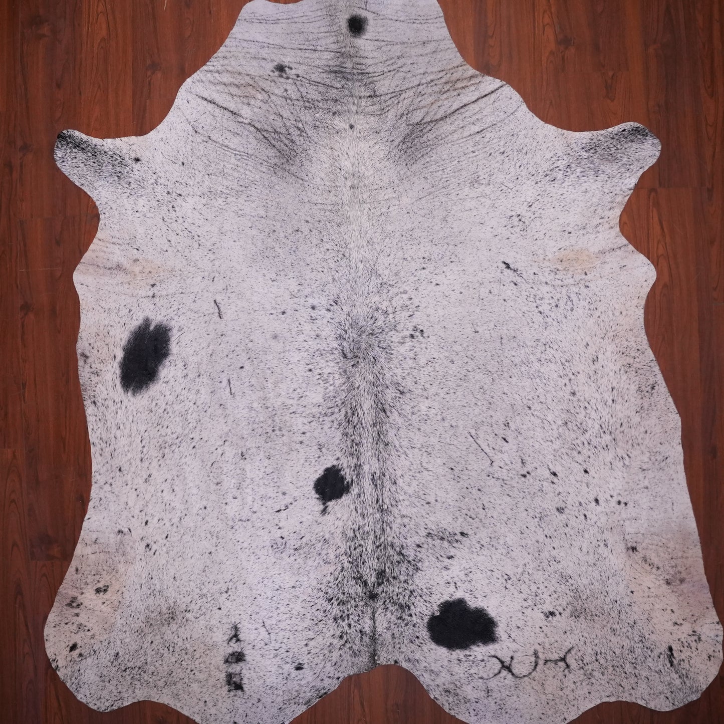 AS Grade Nguni Hide 616 (Black/White) (XL)