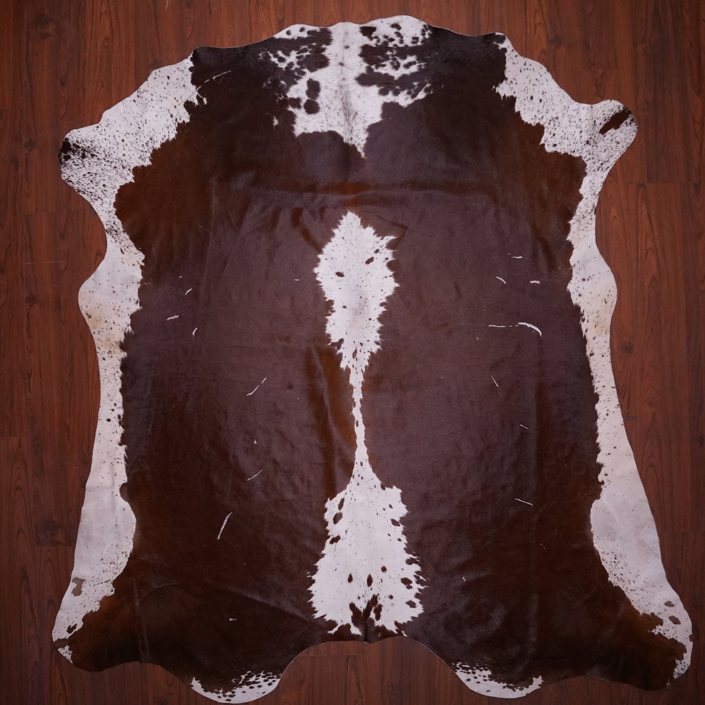 A Grade Nguni Hide 608 (Brown/White) (XL)