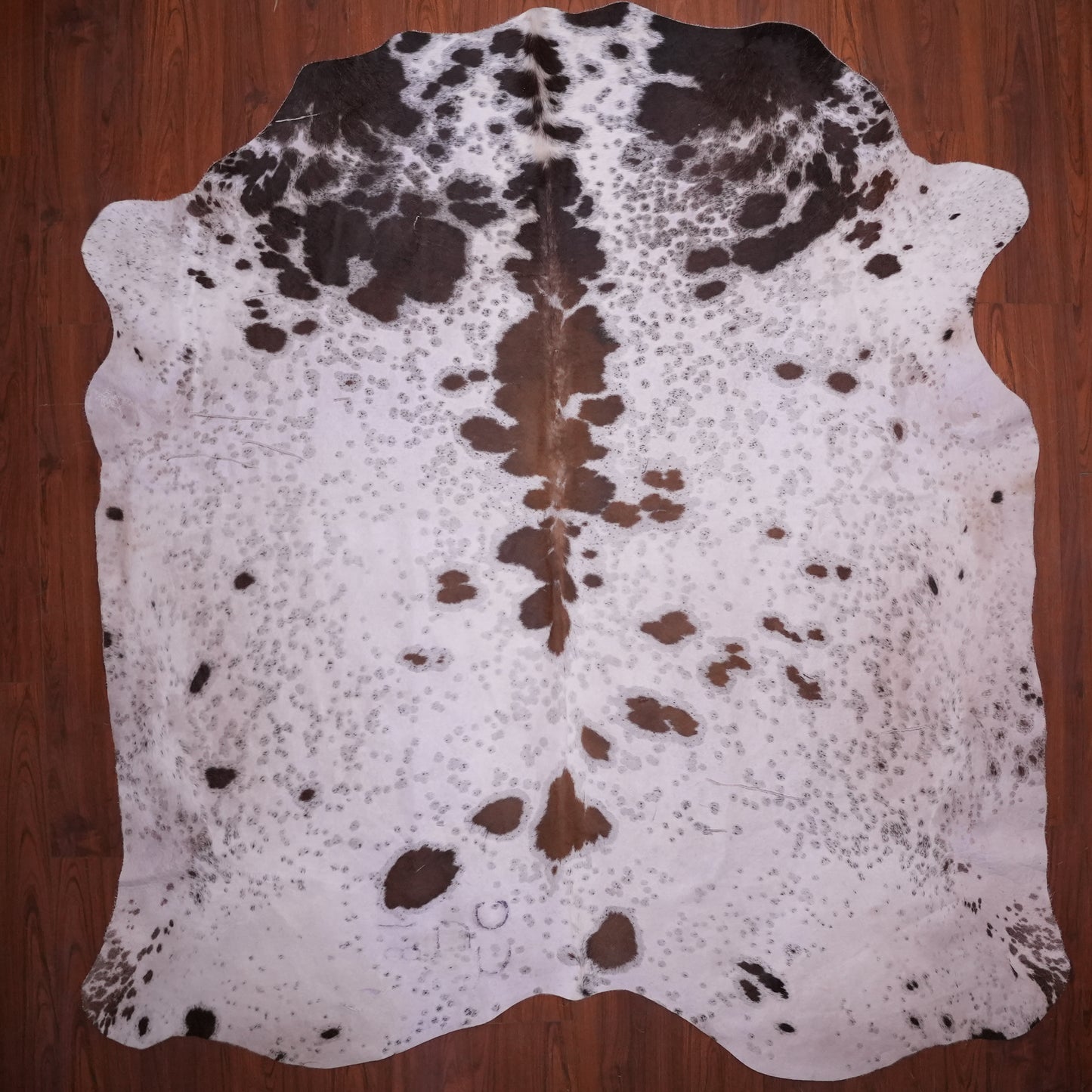 AS Grade Nguni Hide 607 (Tricolor) (XL)