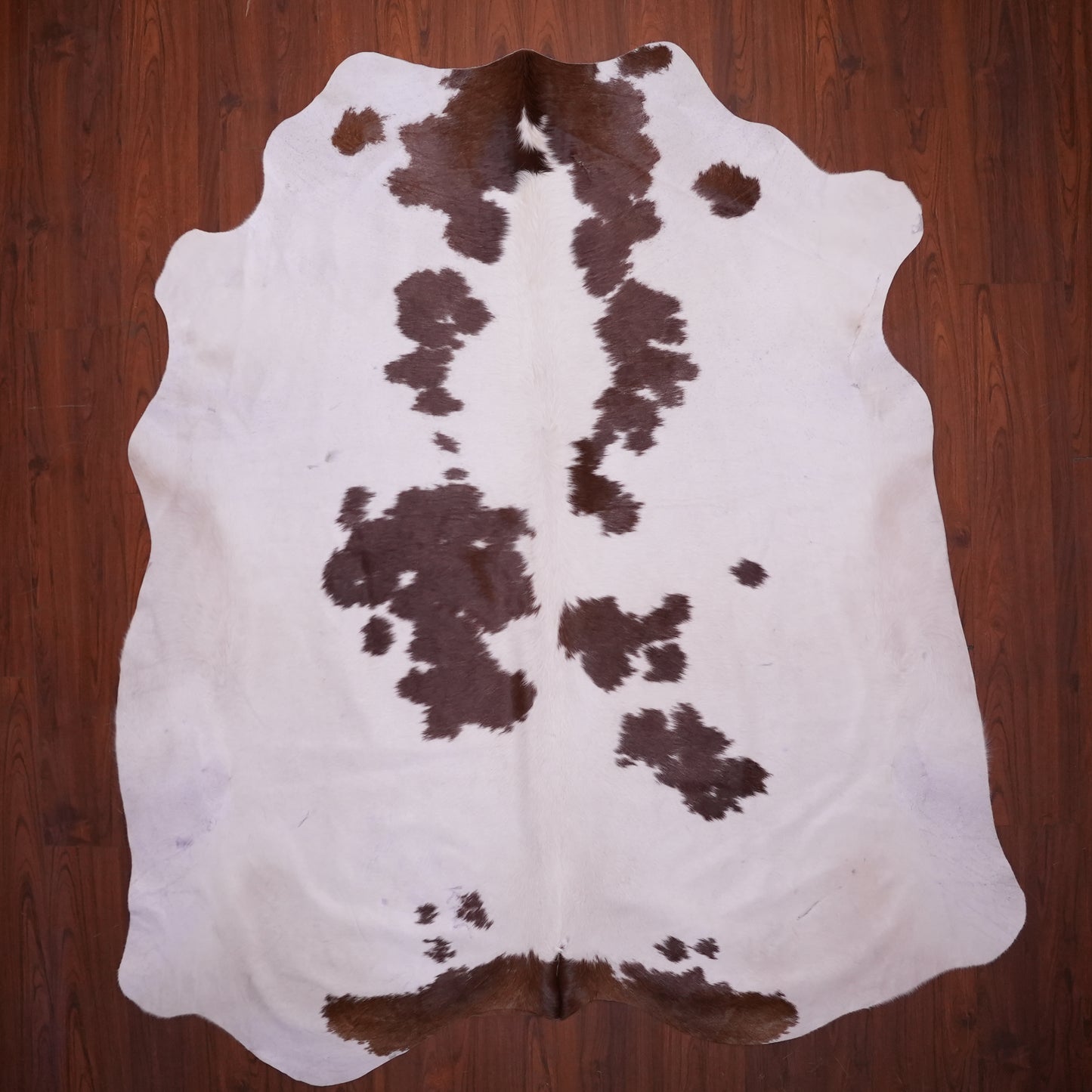 A Grade Nguni Hide 611 (Brown/White) (XL)
