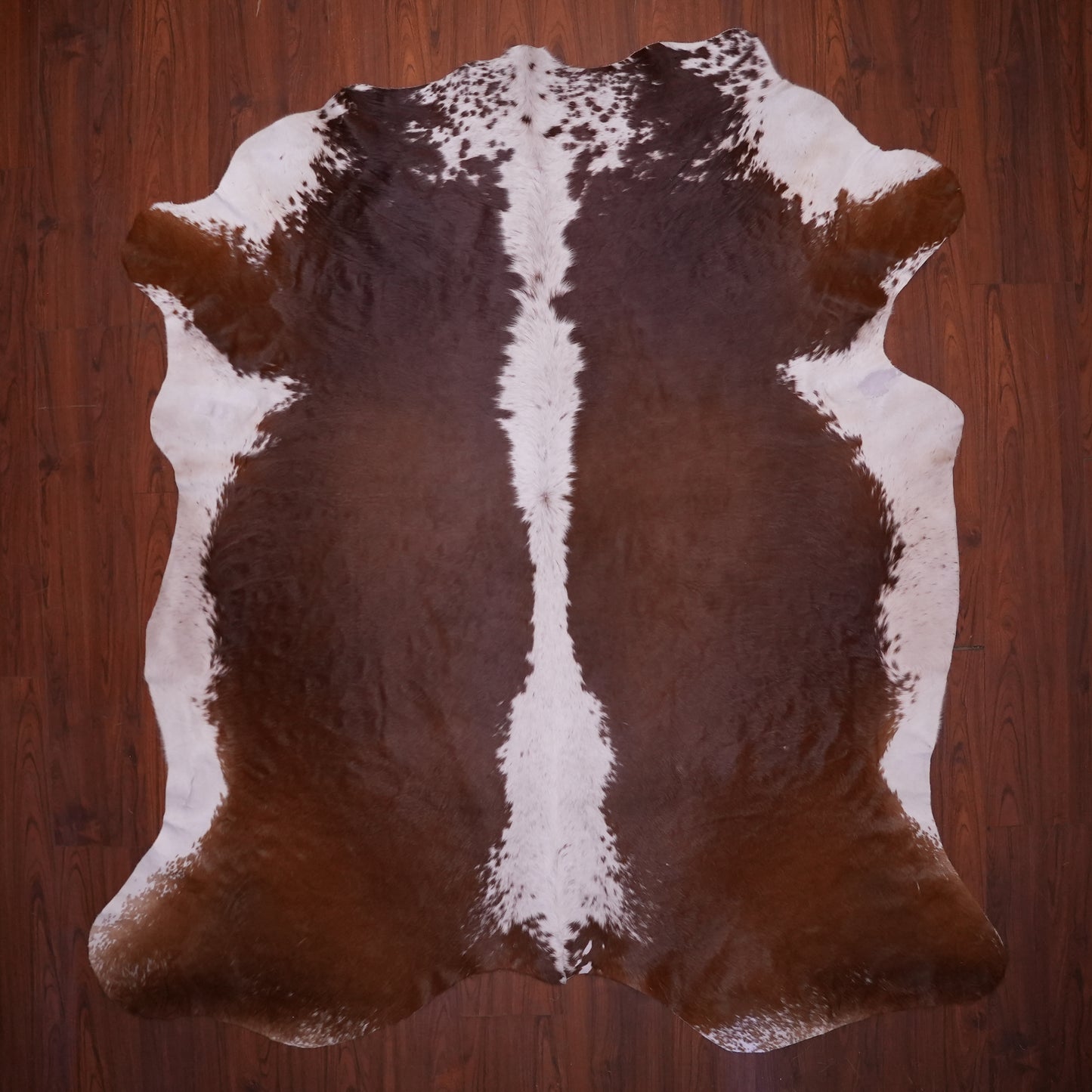 AS Grade Nguni Hide 629 (Brown/White) (XL)