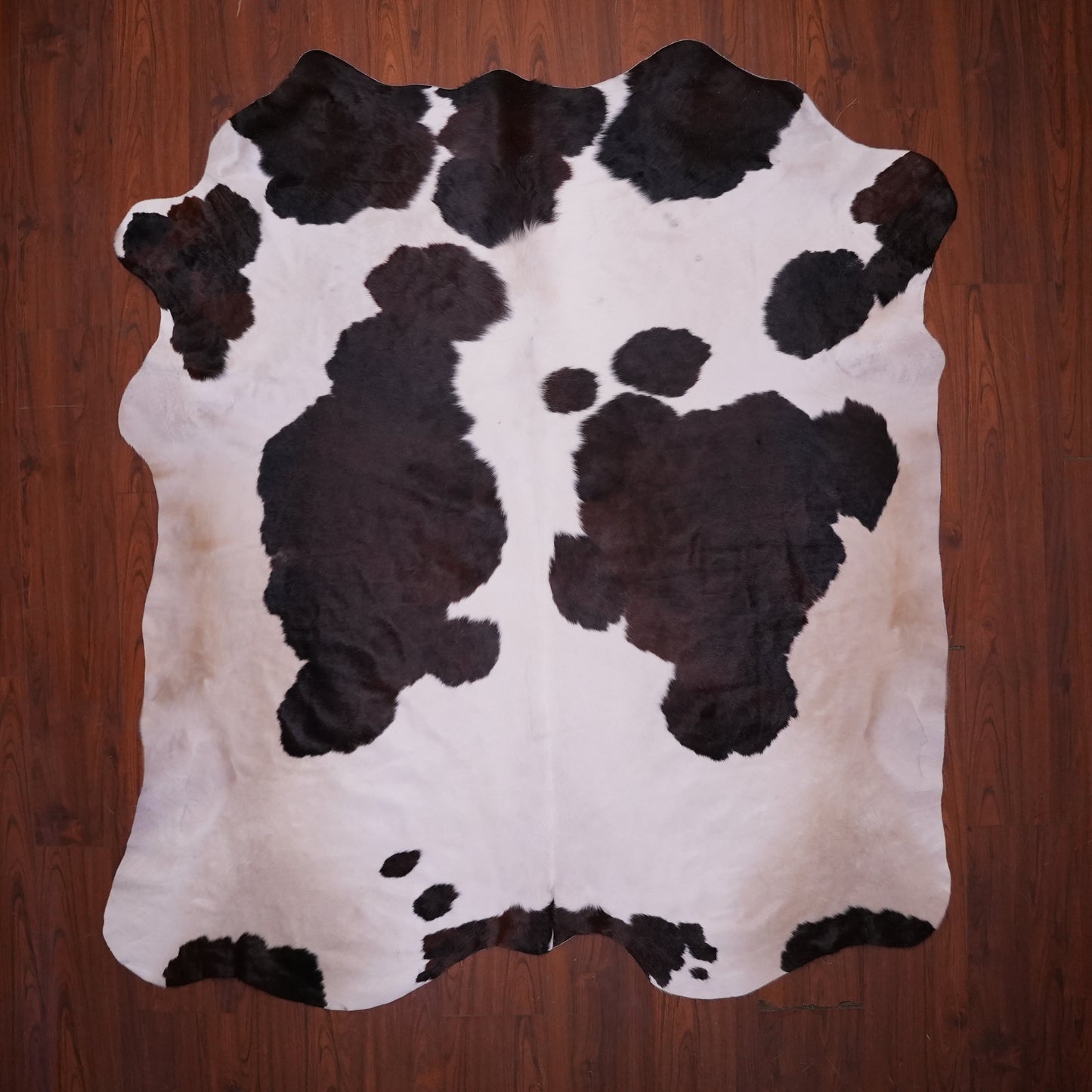 AA Grade Nguni Hide 628 (Tricolor) (L)